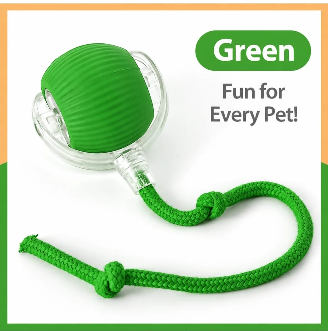 Interactive Smart Ball for Cats & Small Dogs