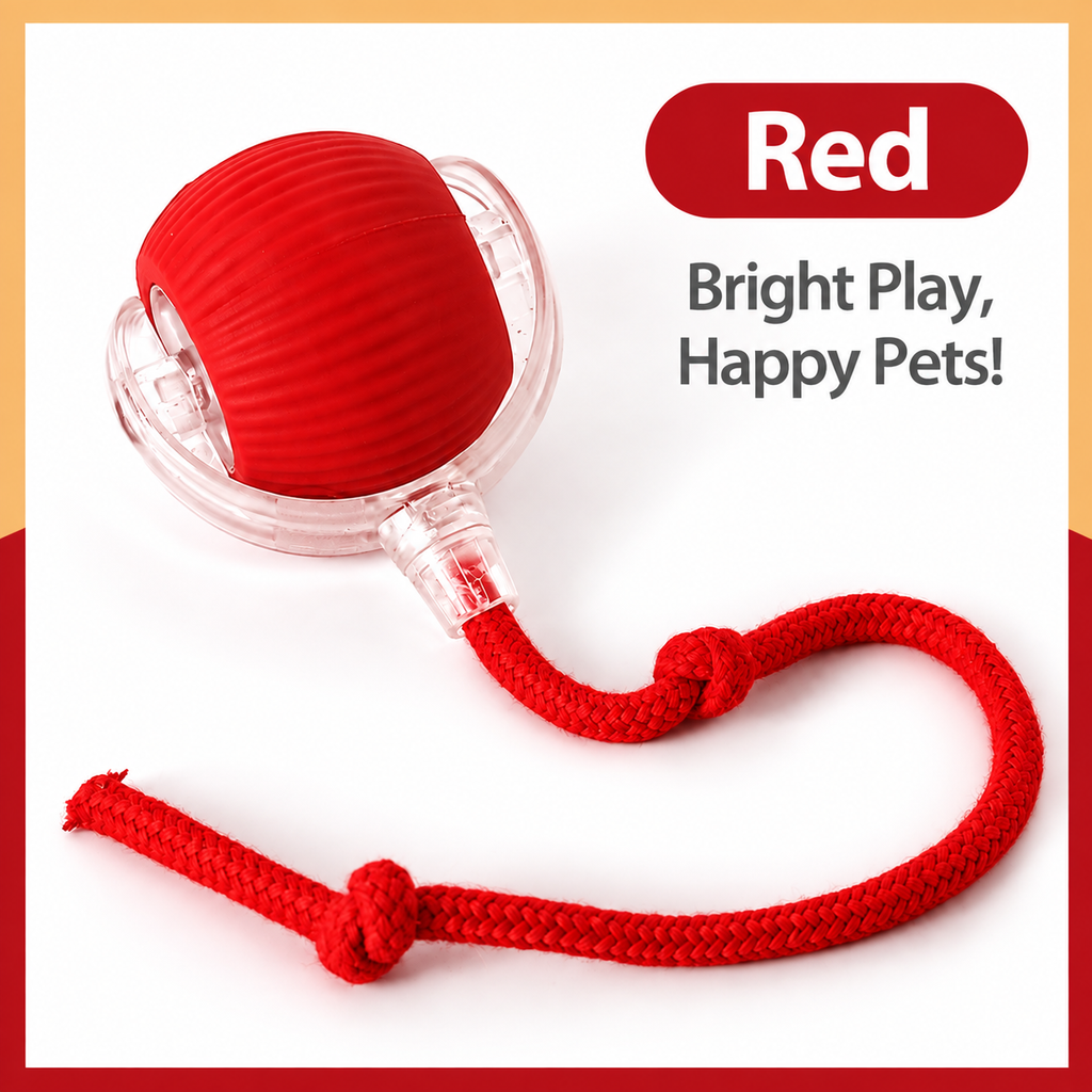 Interactive Smart Ball for Cats and Small Dogs
